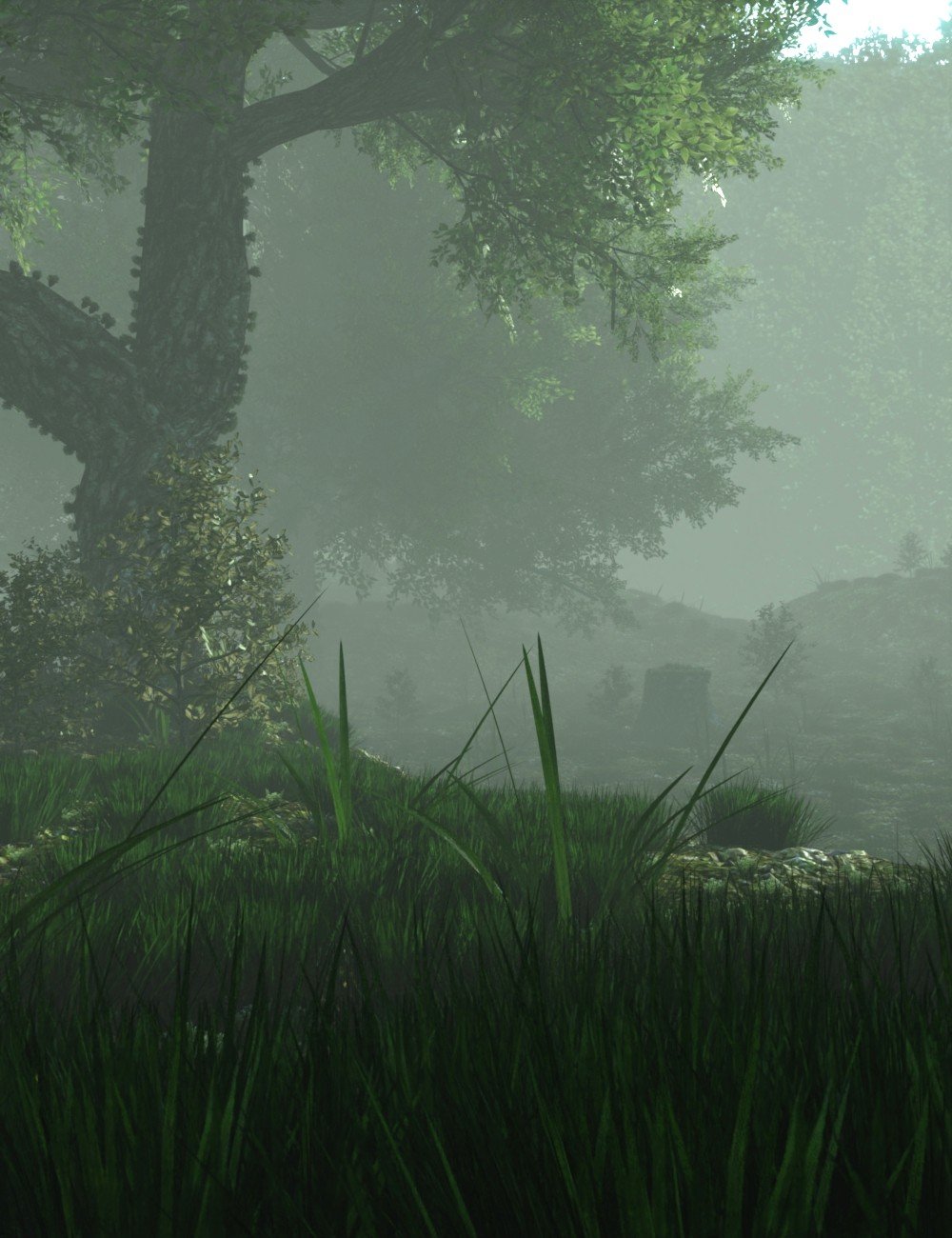 JAF_Mysterious_Forest